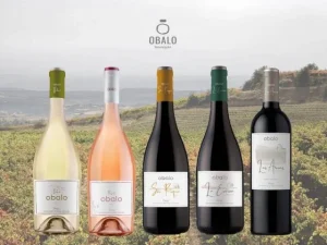 Nueva-Imagen-Bodegas-Óbalo