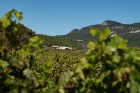 Bodega Obalo Ubicación