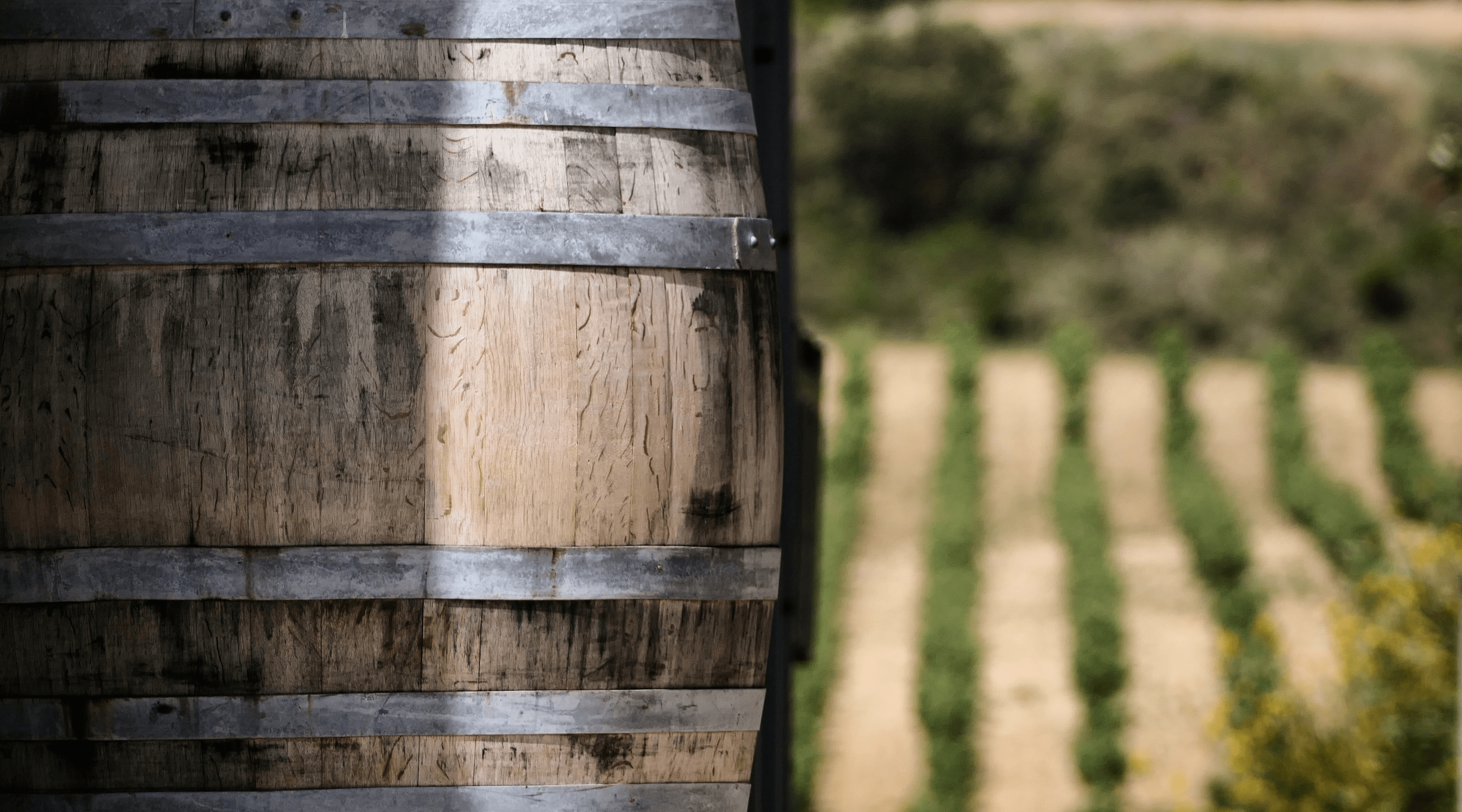 Barrica vertical con viñedo al fondo