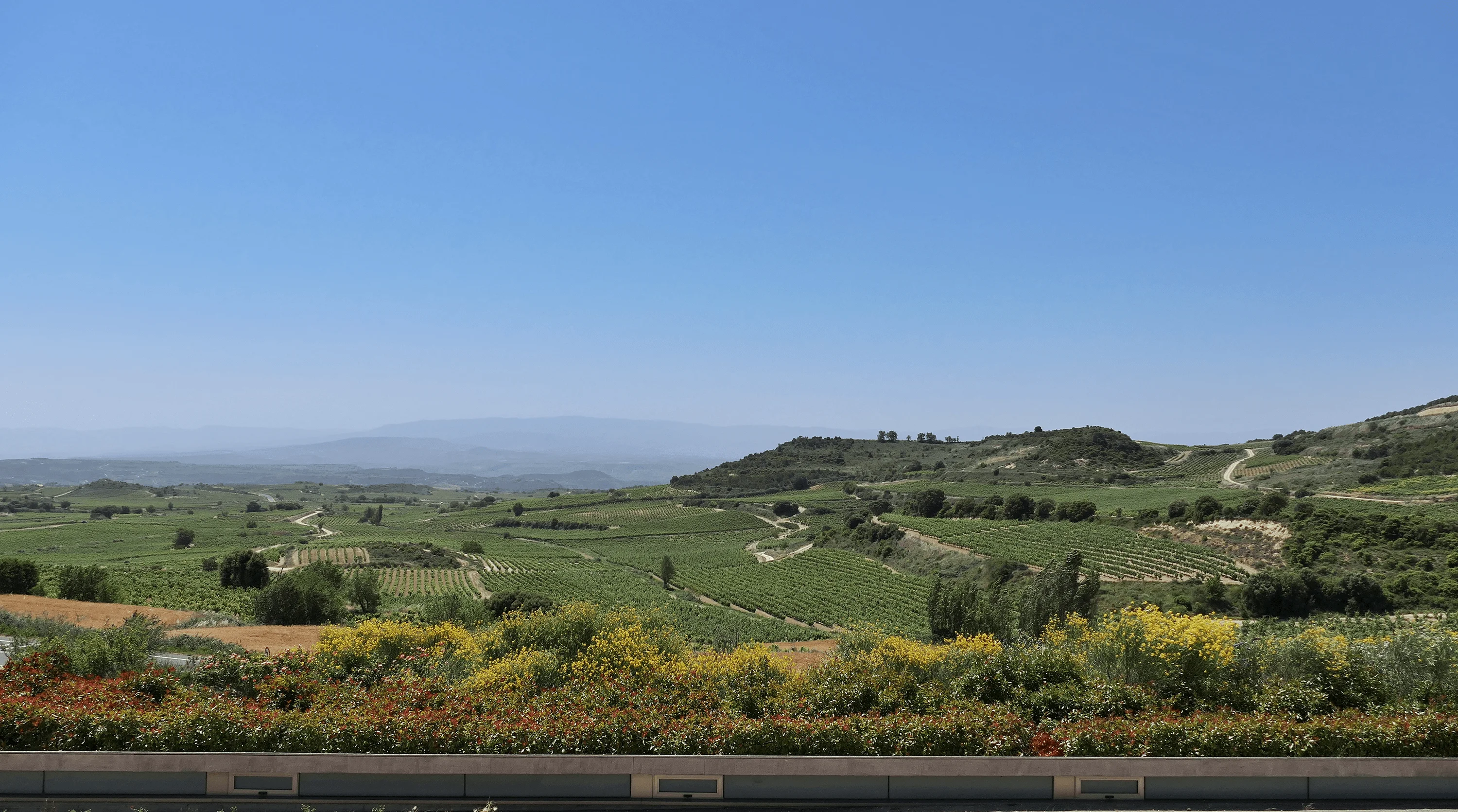Vistas panoramicas desde Bodegas Obalo